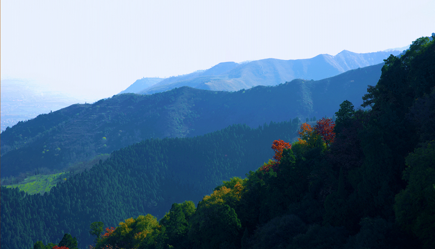 _DSC6094_副本.jpg