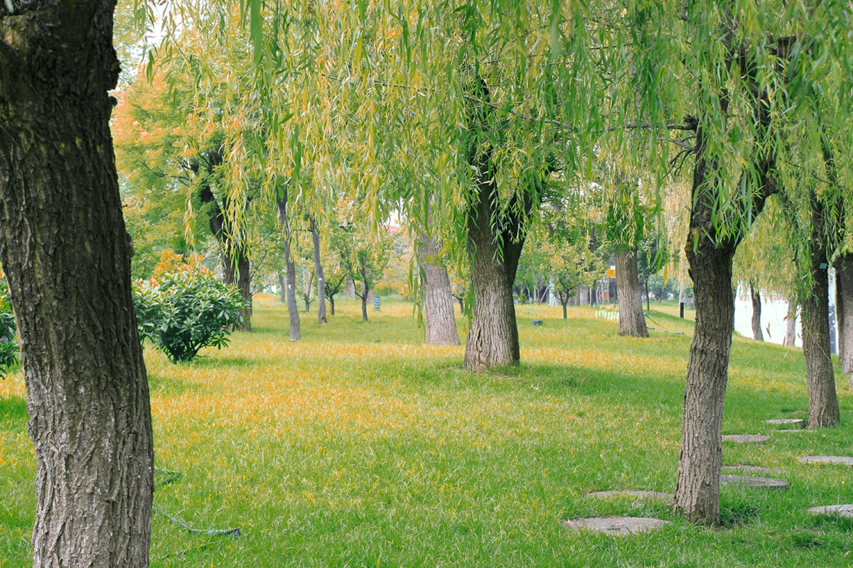 _MG_3816.jpg