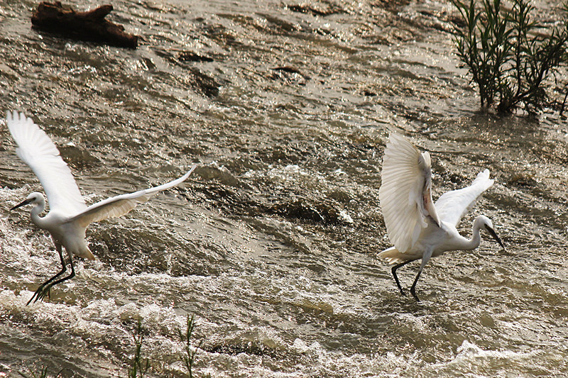 IMG_4564_副本.jpg