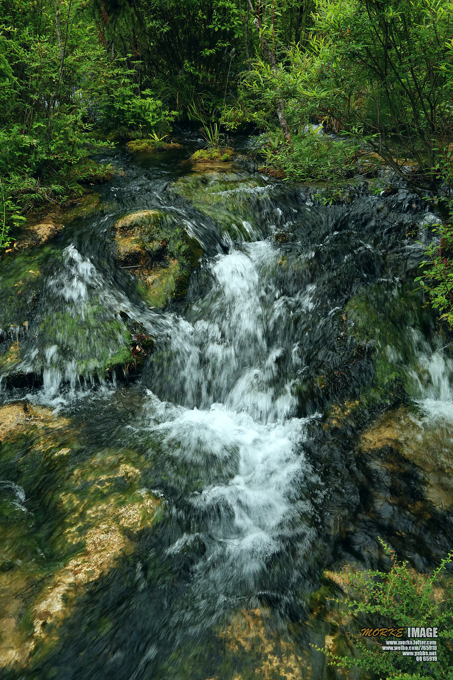 1G8A6319a.jpg