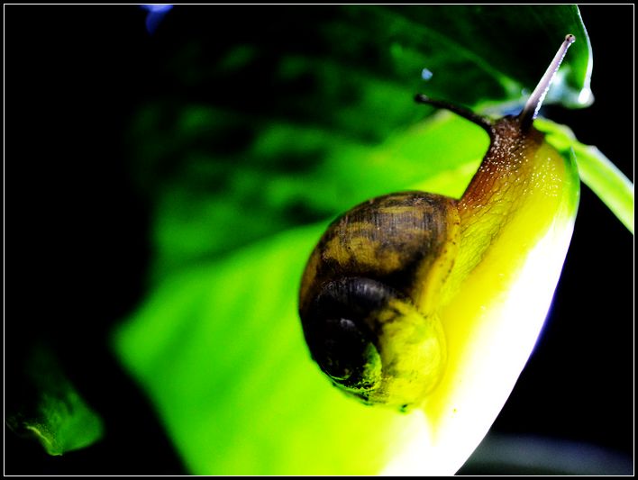 DSC_5695修3.jpg