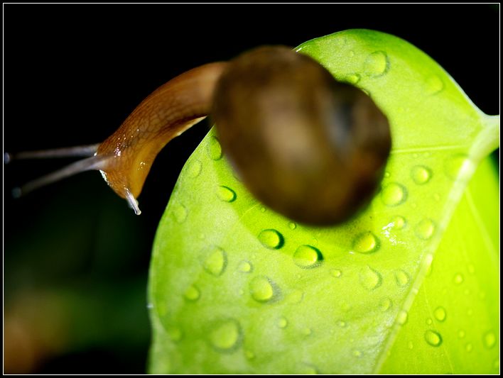 DSC_5707修5.jpg