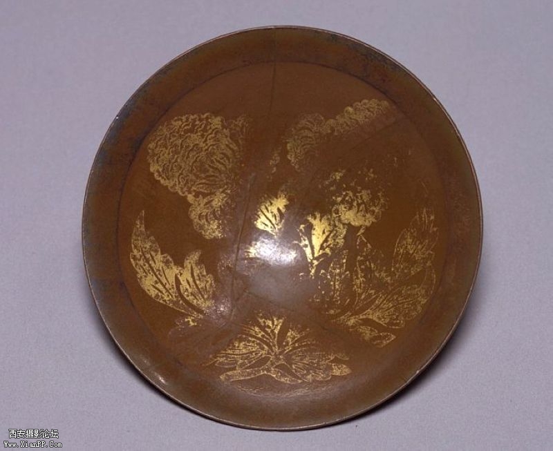 32002093_29.jpg