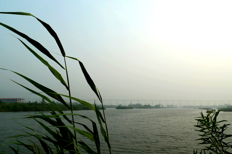 P1050367.JPG