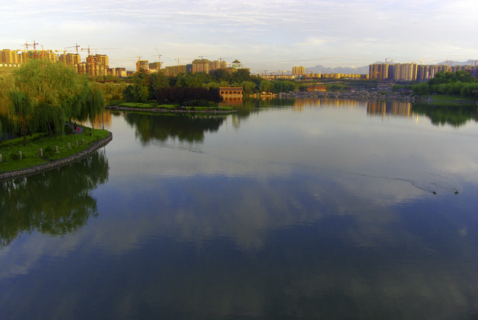 IMGP9165.jpg