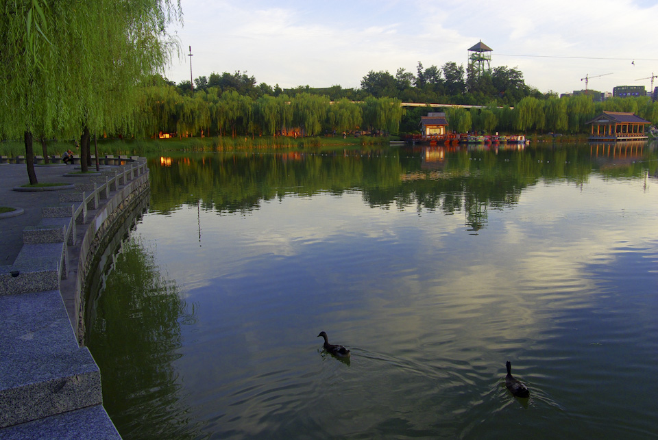 IMGP9174.jpg
