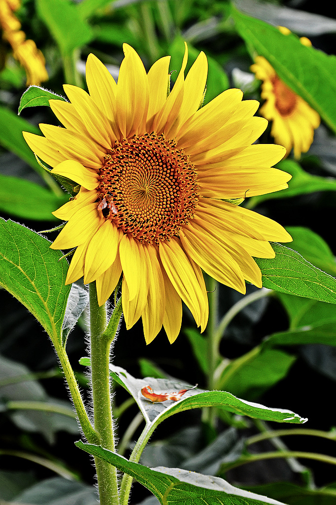 DSC_8155.jpg