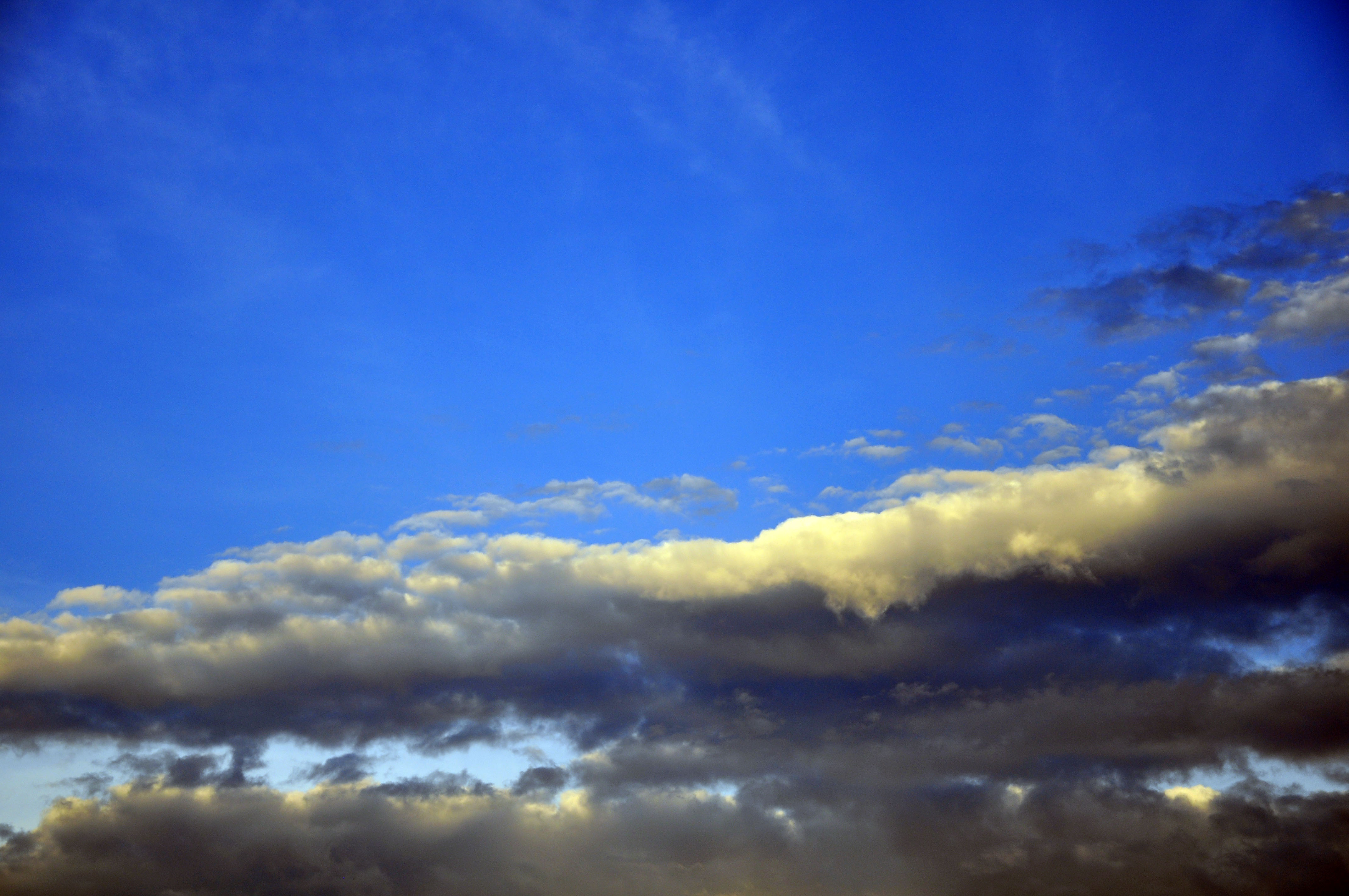 DSC_1059.JPG