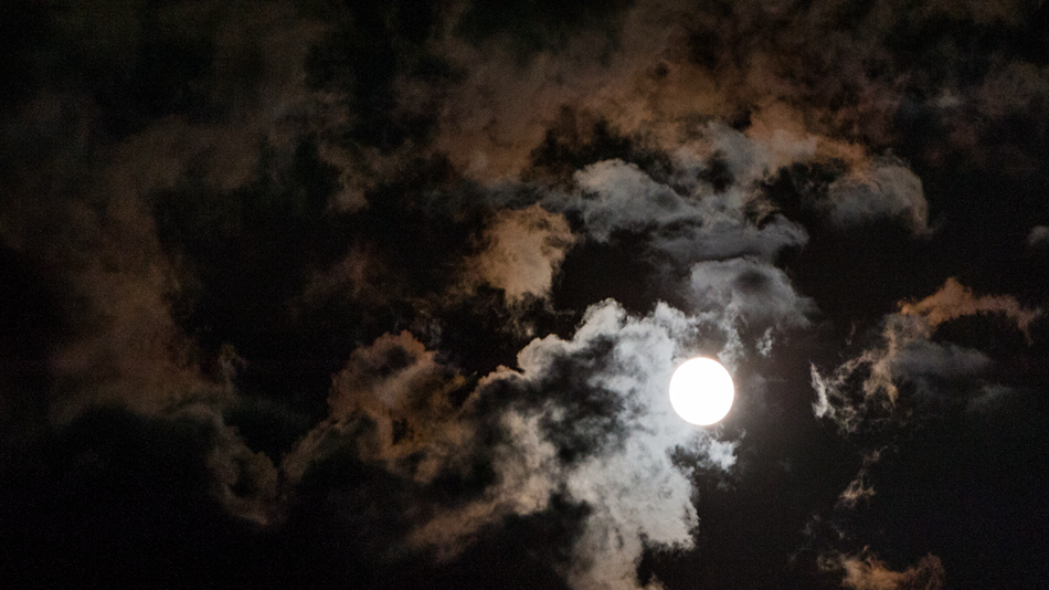 DSC_4323.jpg