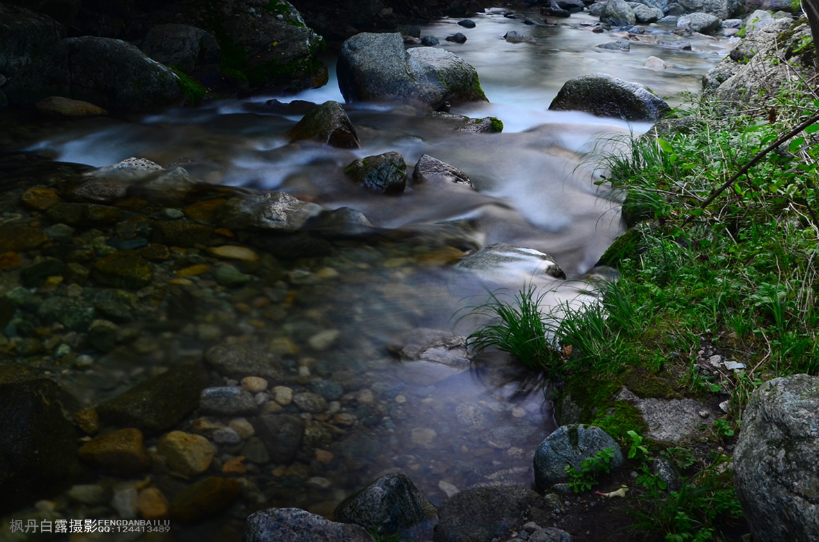 DSC_1306.jpg