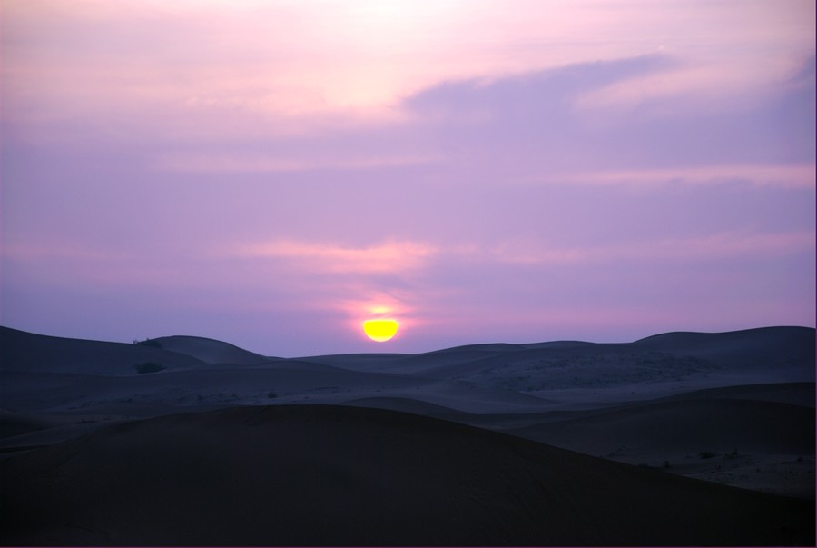 DSC_1691.jpg