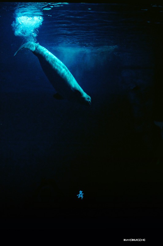 a23242580_s.jpg