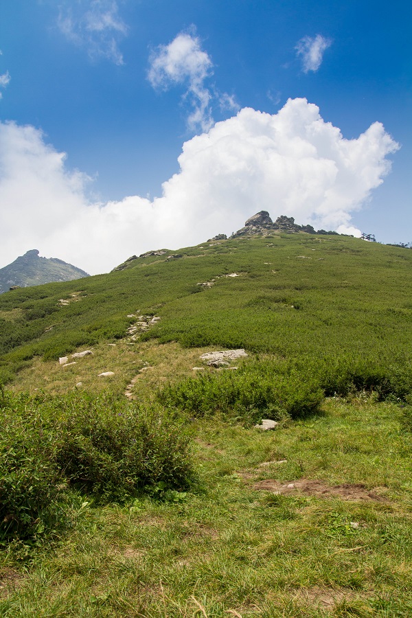 IMG_5761-1.jpg