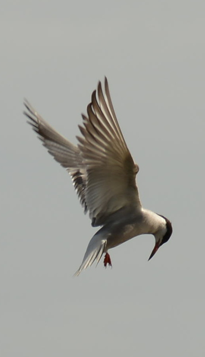 DSC_0231_副本.jpg