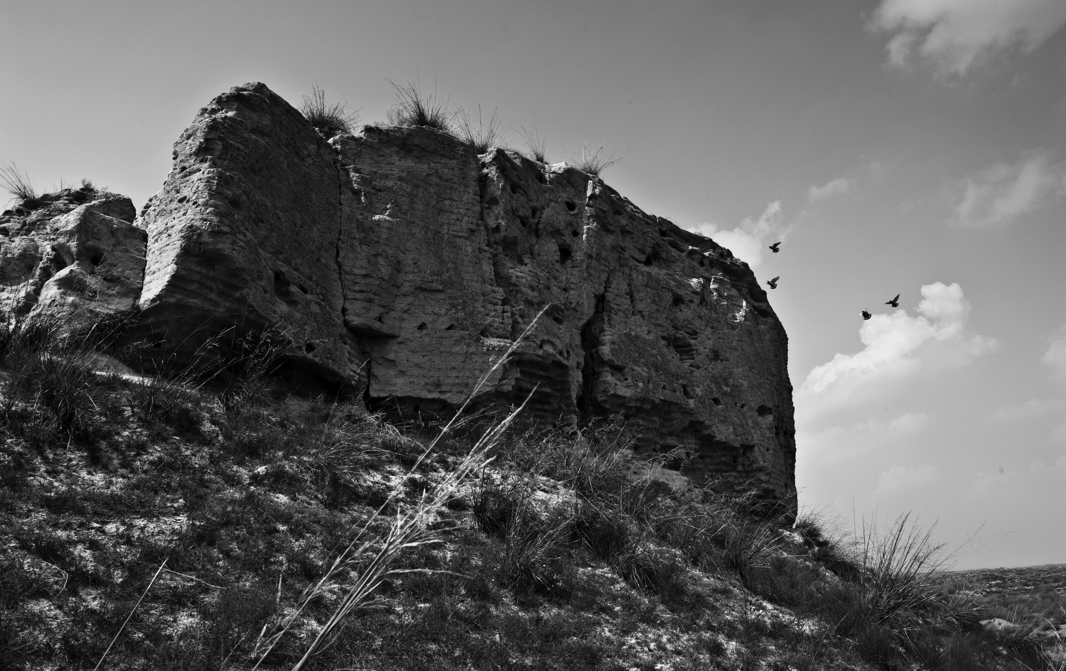 DSC_0843_1.jpg