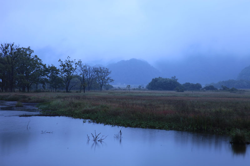 IMG_7930 - 副本.JPG