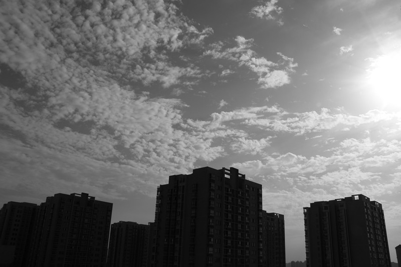 IMG_6937_副本.jpg
