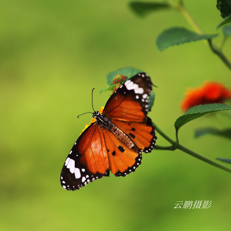 杨凌采风18_副本.jpg