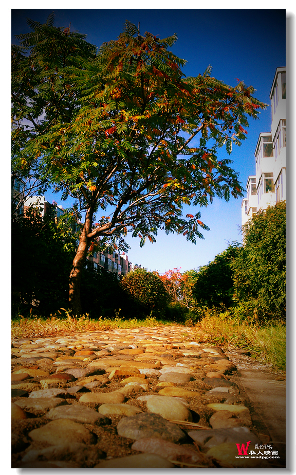 C360_2012-10-04-08-53-18.jpg