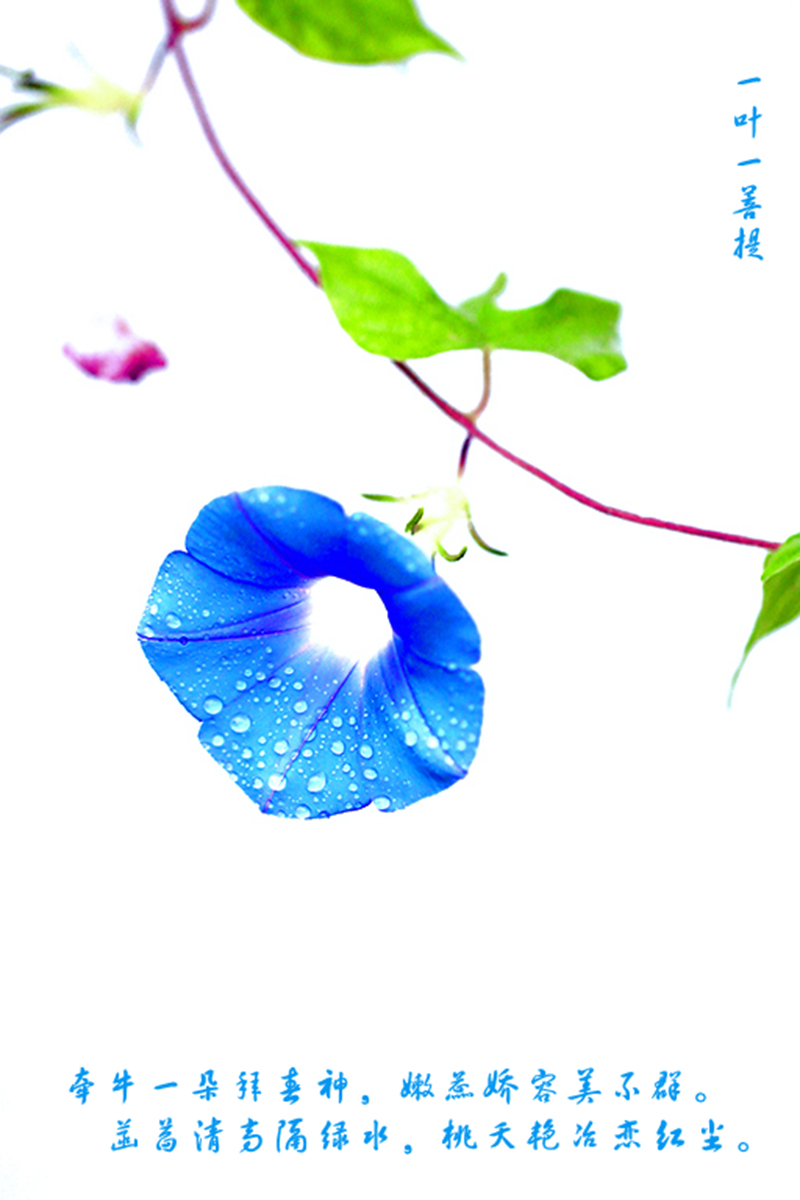 7K8A2294.jpg