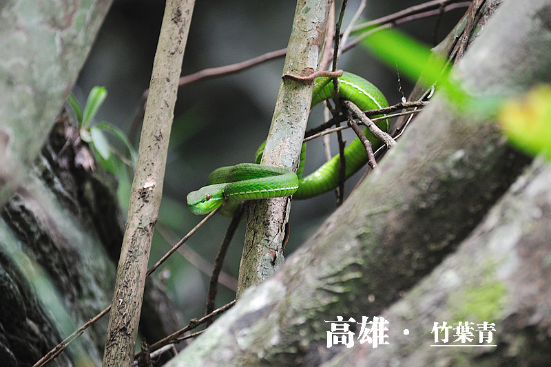 DSC_9654xiao.jpg