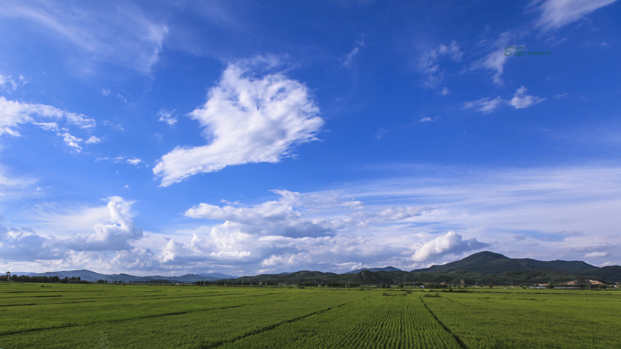 20130810_5310副本副本.jpg