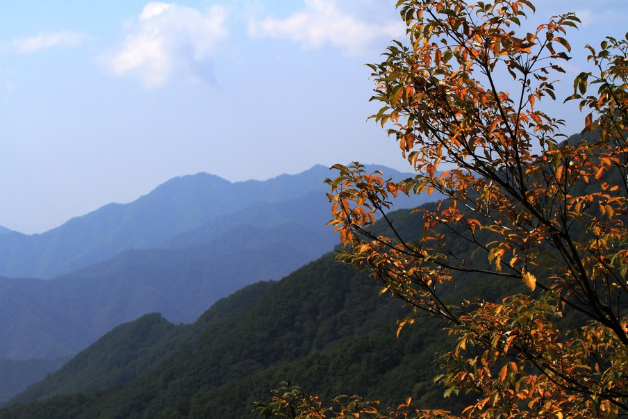 植物园324.jpg