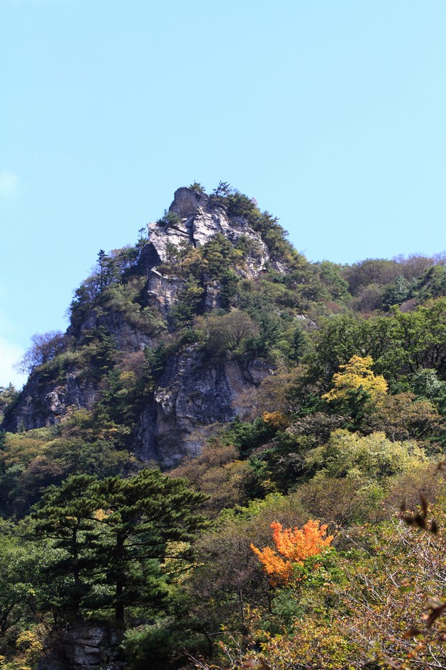 植物园330.jpg