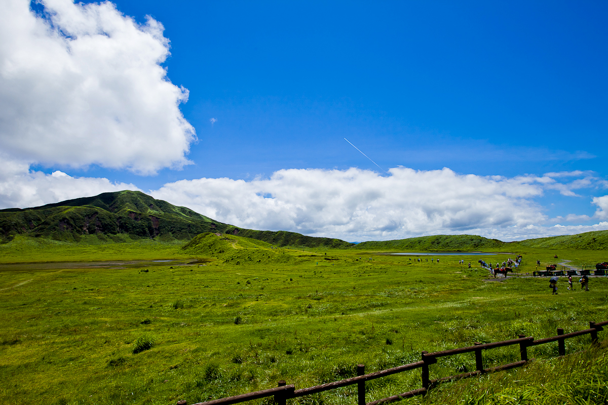 _MG_0247.jpg