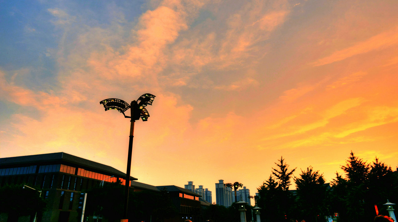 DSC_7306_副本1.jpg