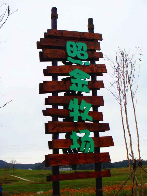 DSC08440_副本.jpg