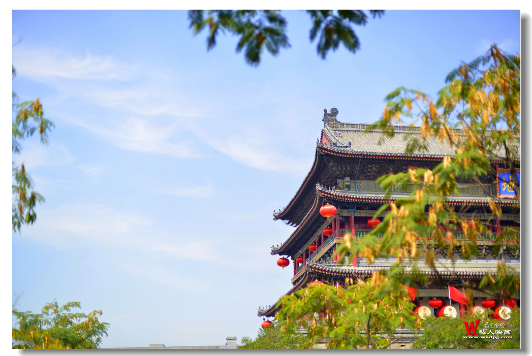 _DSC9548_副本.jpg