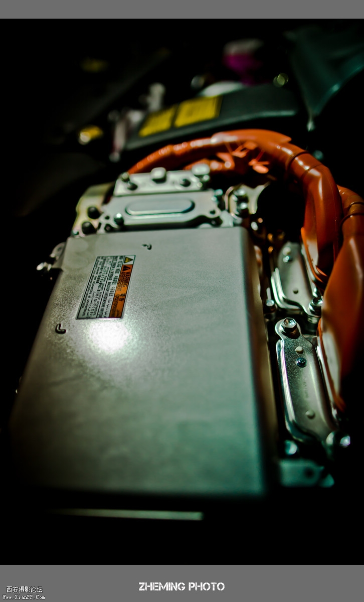 LP3A8256.jpg