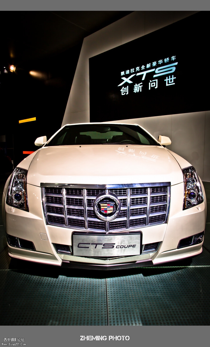 LP3A8269.jpg