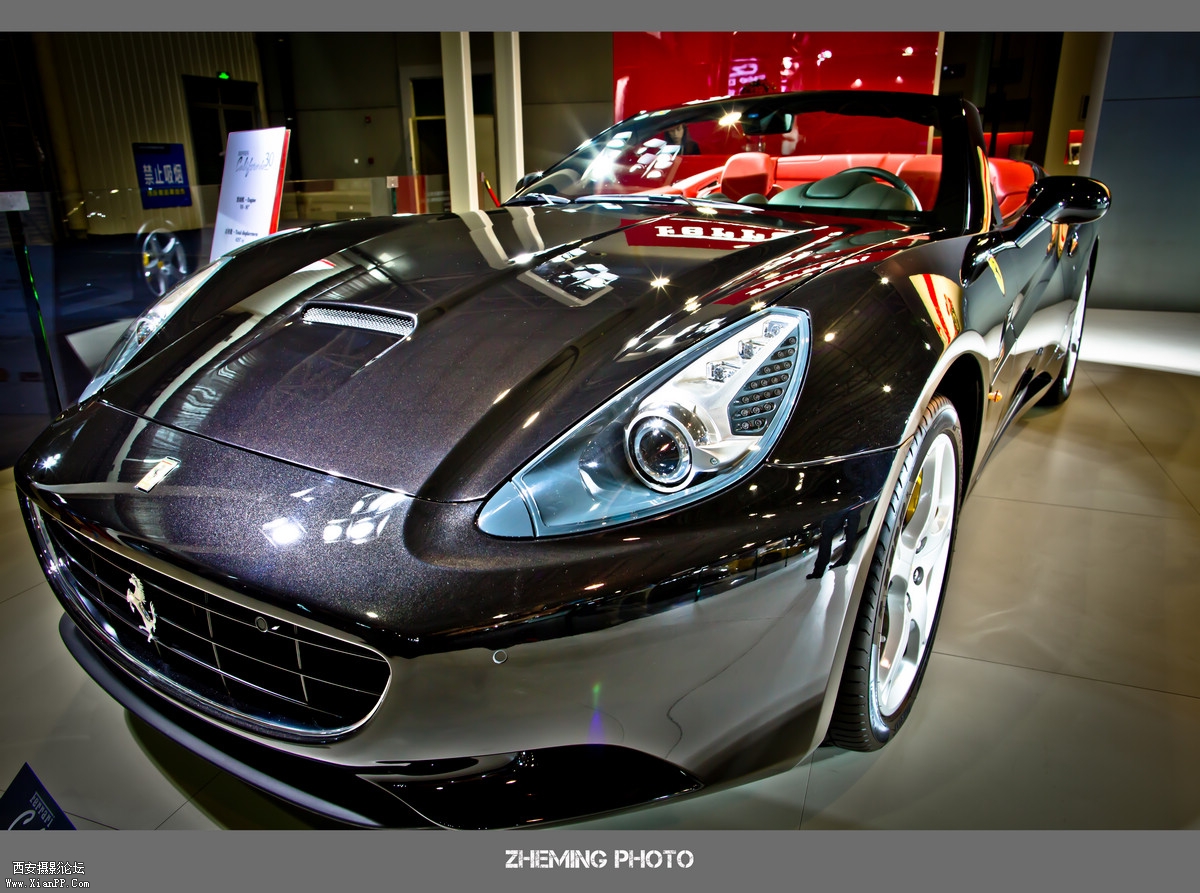 LP3A8320.jpg