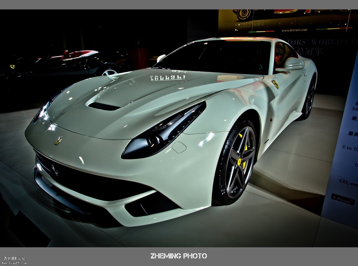 LP3A8324.jpg