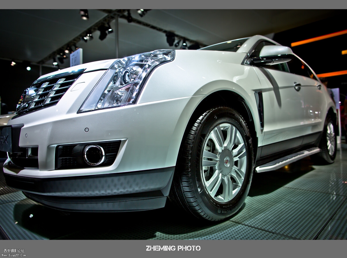 LP3A8474.jpg