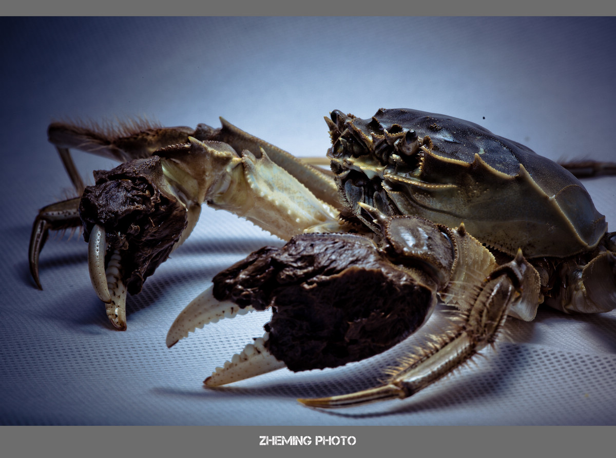 20131005-LP3A9061.jpg