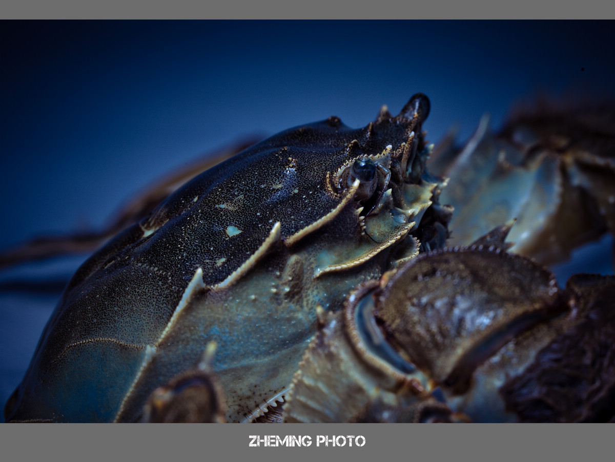 20131005-LP3A9086.jpg