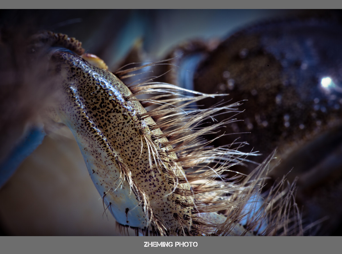 20131005-LP3A9087.jpg