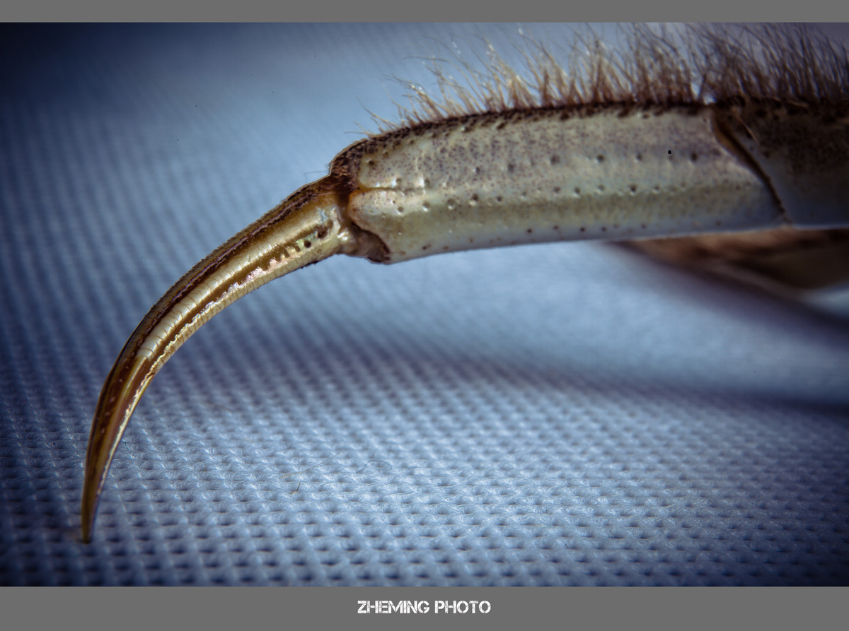 20131005-LP3A9101.jpg