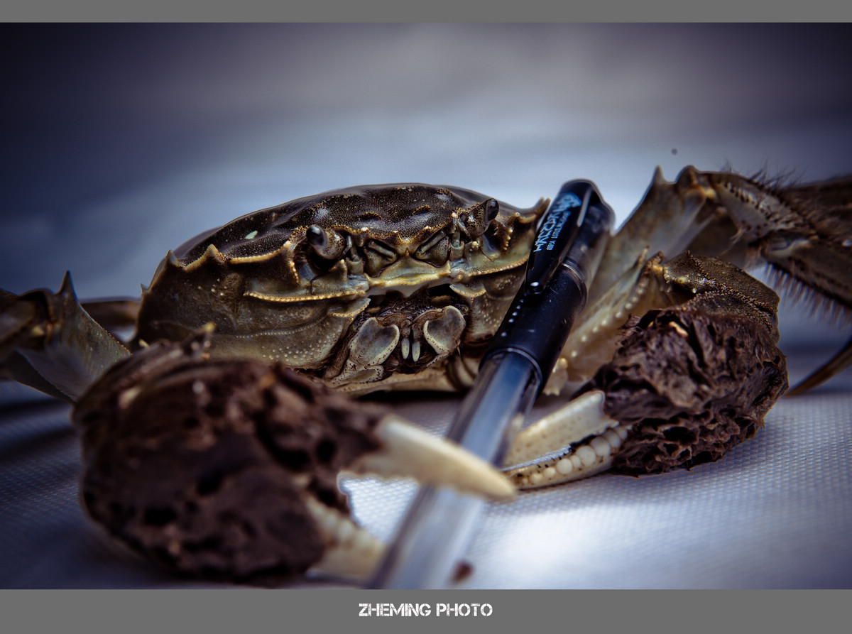 20131005-LP3A9120.jpg