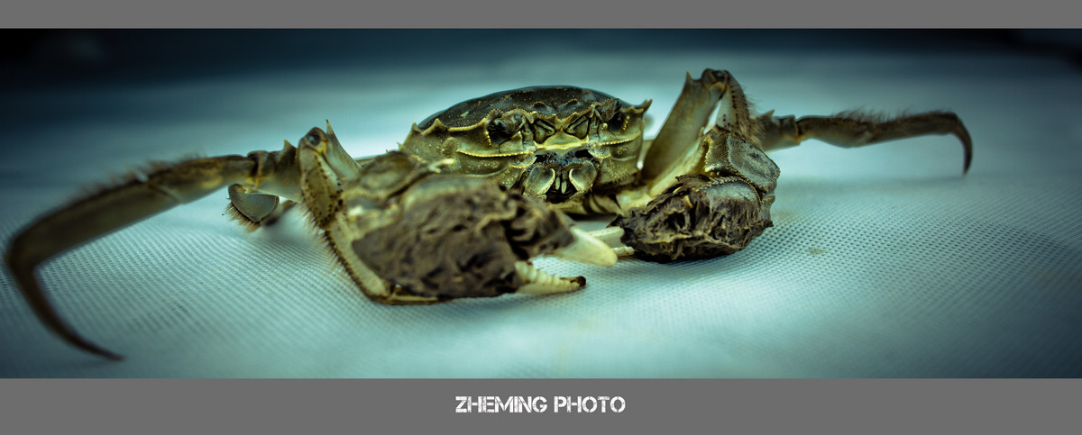 20131005-LP3A9149.jpg