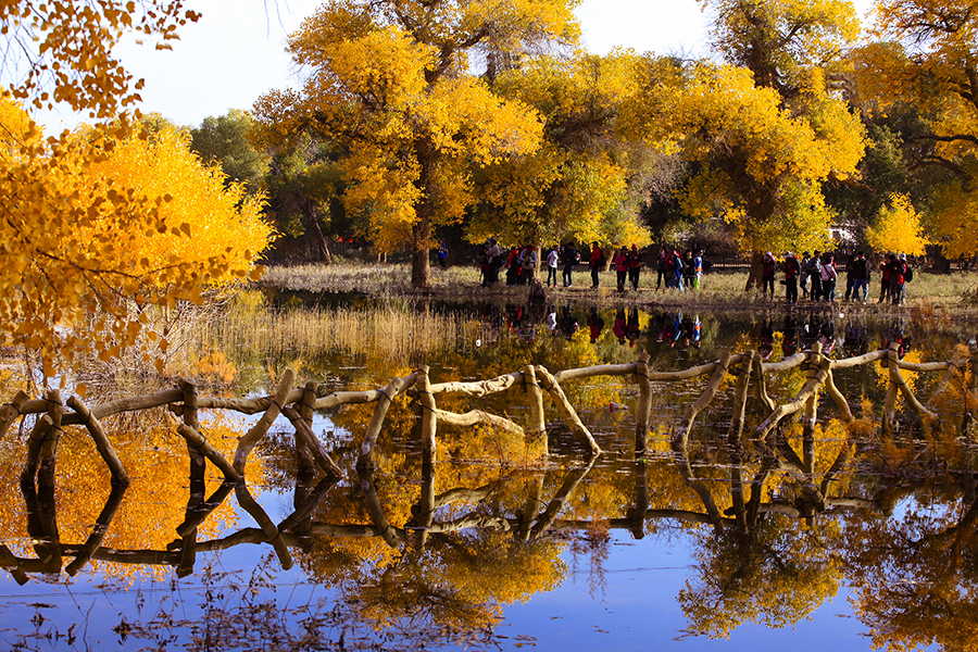 20131004_6250qas.jpg