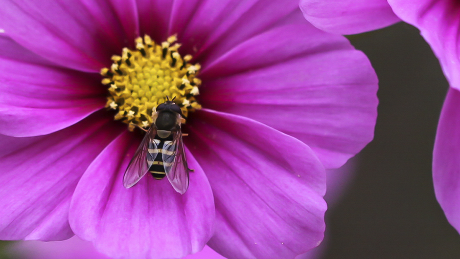 20131015_8398副本.jpg