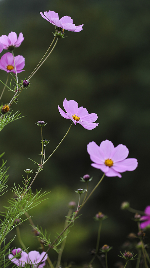 20131015_8457副本.jpg