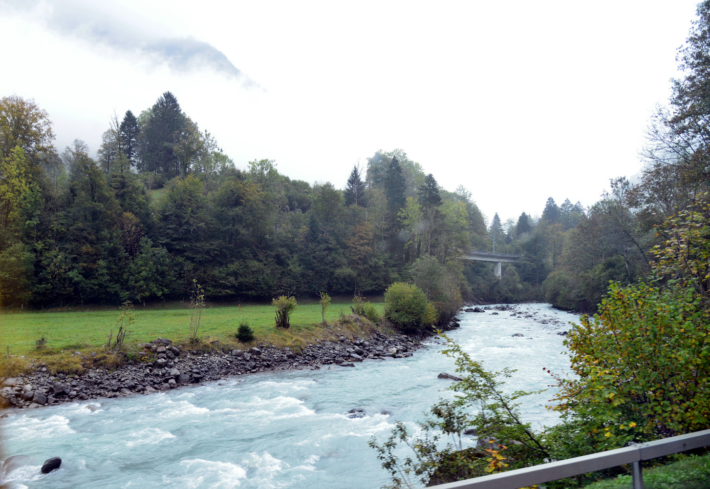 DSC_9958.JPG