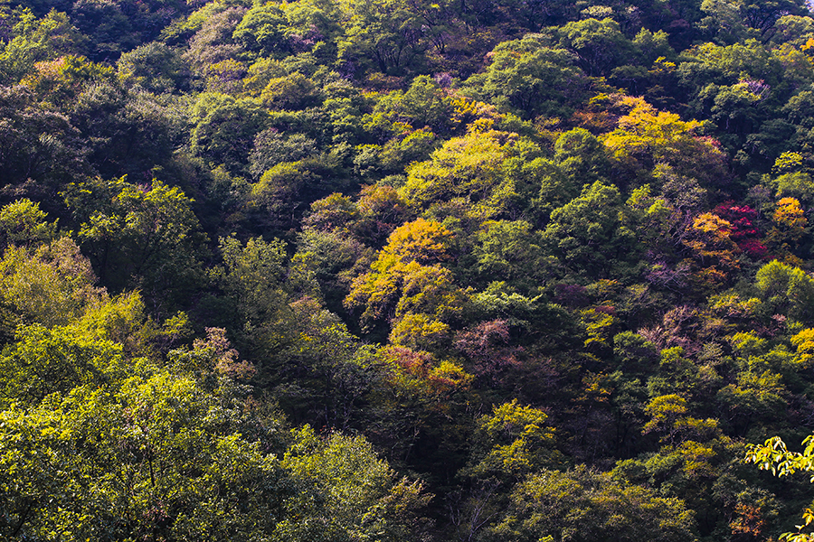 20131019_9011副本.jpg