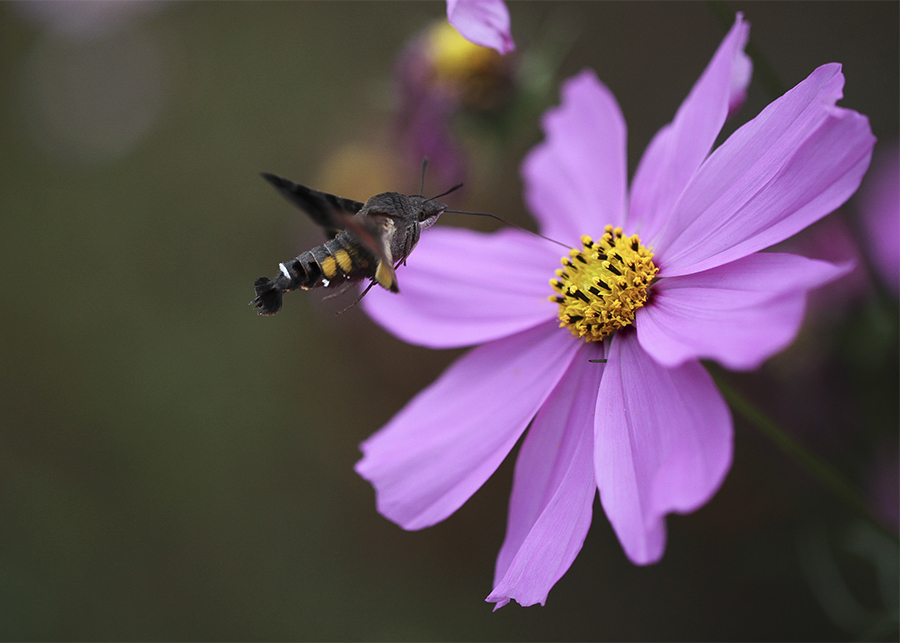 20131015_8273.jpg