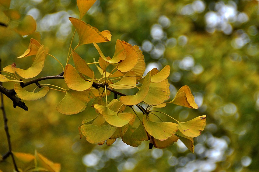DSC_0003_conew1.jpg